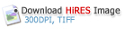 Download HiRes Image (300DPI, TIFF Format)